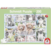 Schmidt - Puppies (200) - Puzzel
